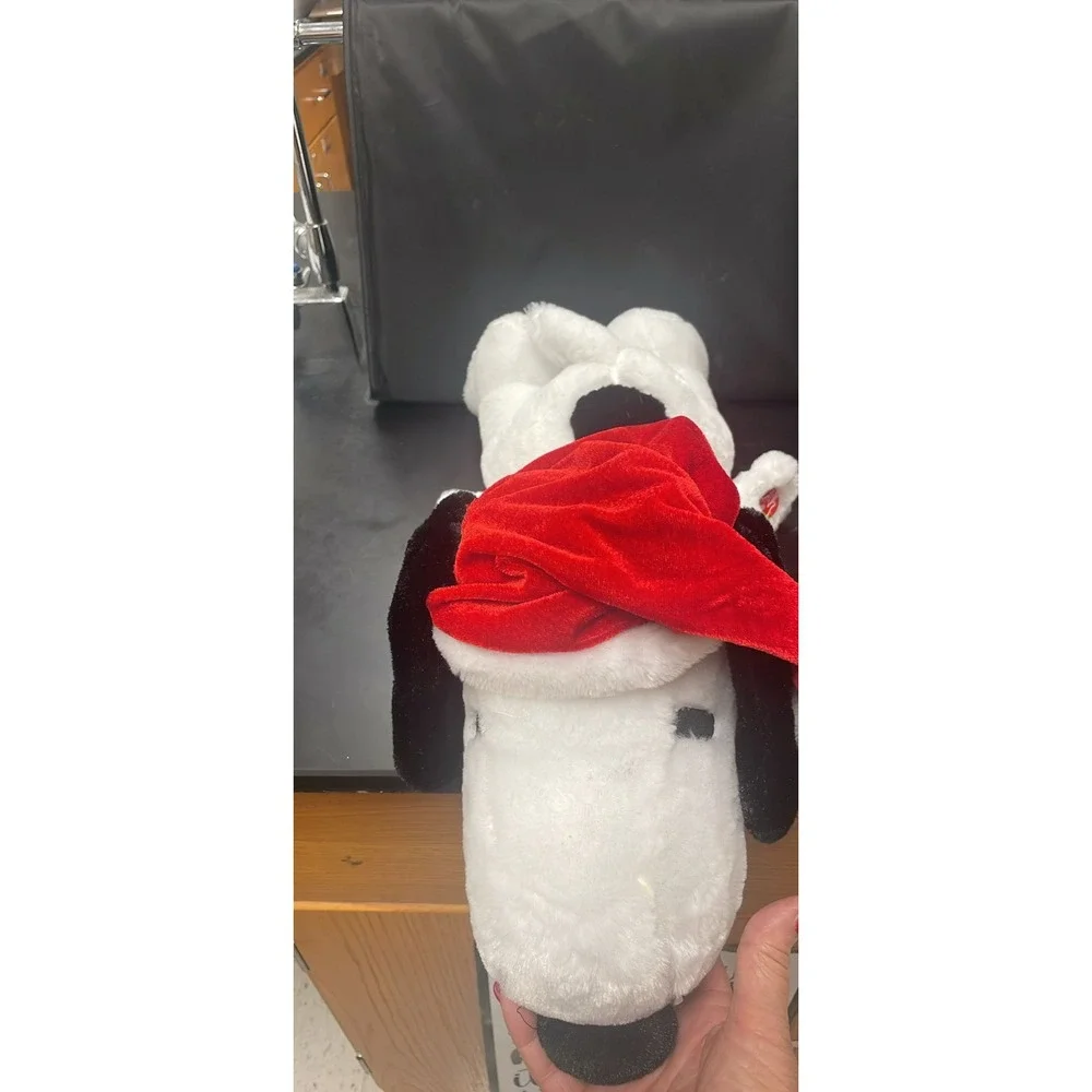 Snoopy Peanut Christmas 21